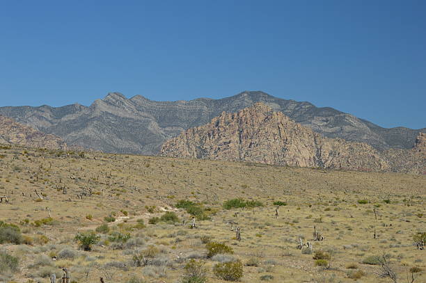 red rock canyon - heat haze illusion desert heat 뉴스 사진 이미지