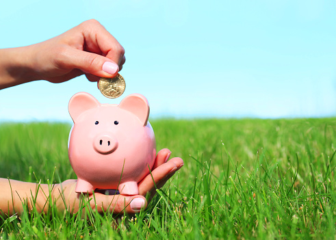 Piggy Bank and Coin in Female Hands over Green Grass and Blue Sky