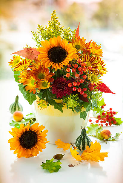 istock Autumnal flowers 499871215