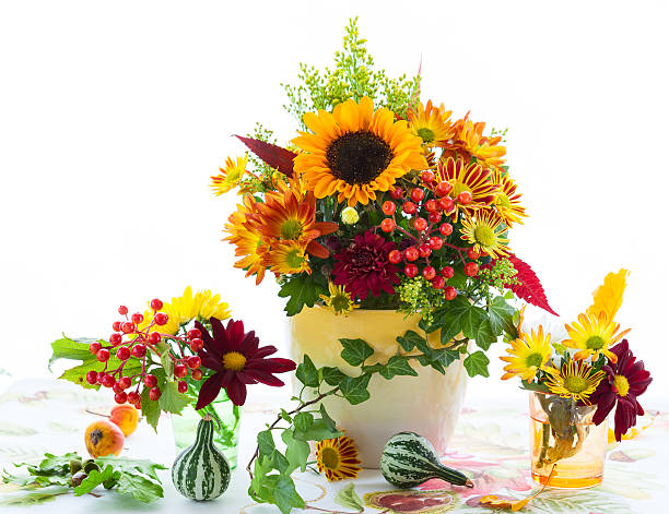 istock Autumnal flowers 499871219