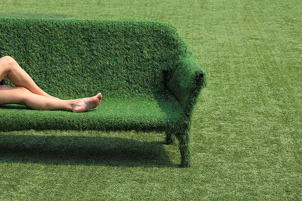 eco style of interior decoration the grass sofa