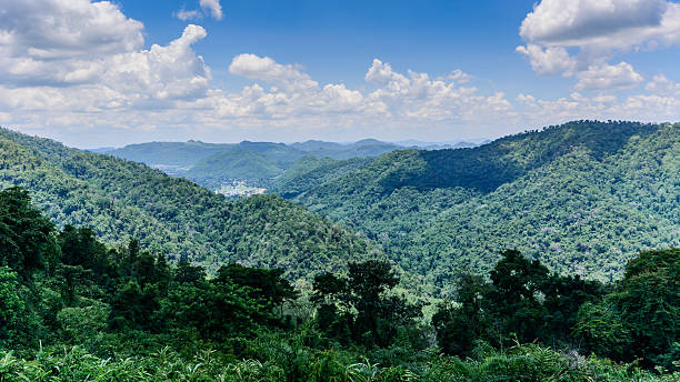 istock Beauty In Nature 499874458