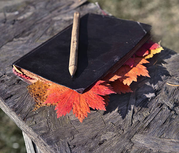 Closed book with colorful fallen leaves and pencil. Closed diary, fallen  leaves and pencil  on wooden background