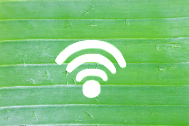 Wifi symbol, Banana leaf draw wifi symbol.
