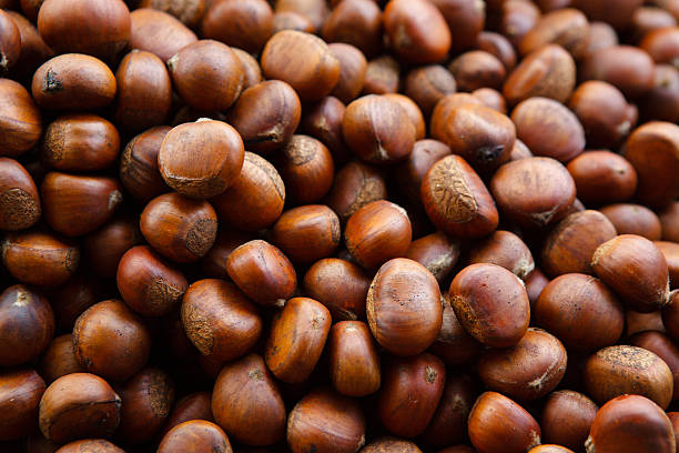 istock Group of edible chestnuts. Dark background. 499877006