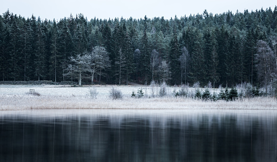 A snowy winter day at Beaver Lake Regional Park, located on southern Vancouver Island.