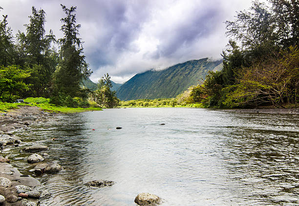 istock Untouched nature by Waipio Valley, Hawaii 499877138