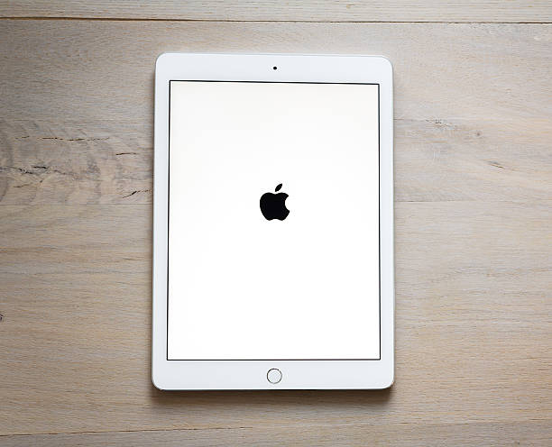 Astanbul, Turkey - August 3, 2011: Hands holding an Apple iPad in park. The iPad is produced by Apple Computer, Inc.