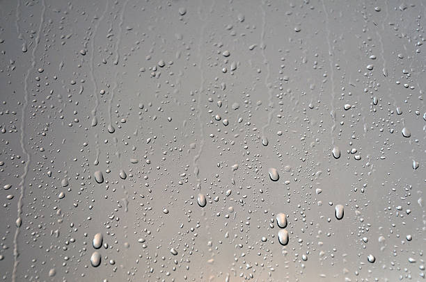 gocce di pioggia - wet dew drop steam foto e immagini stock