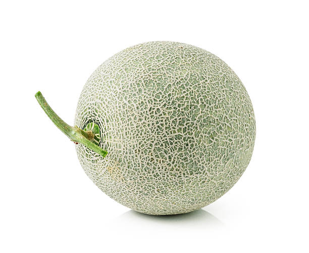 istock cantaloupe melon isolated on white background 499883782
