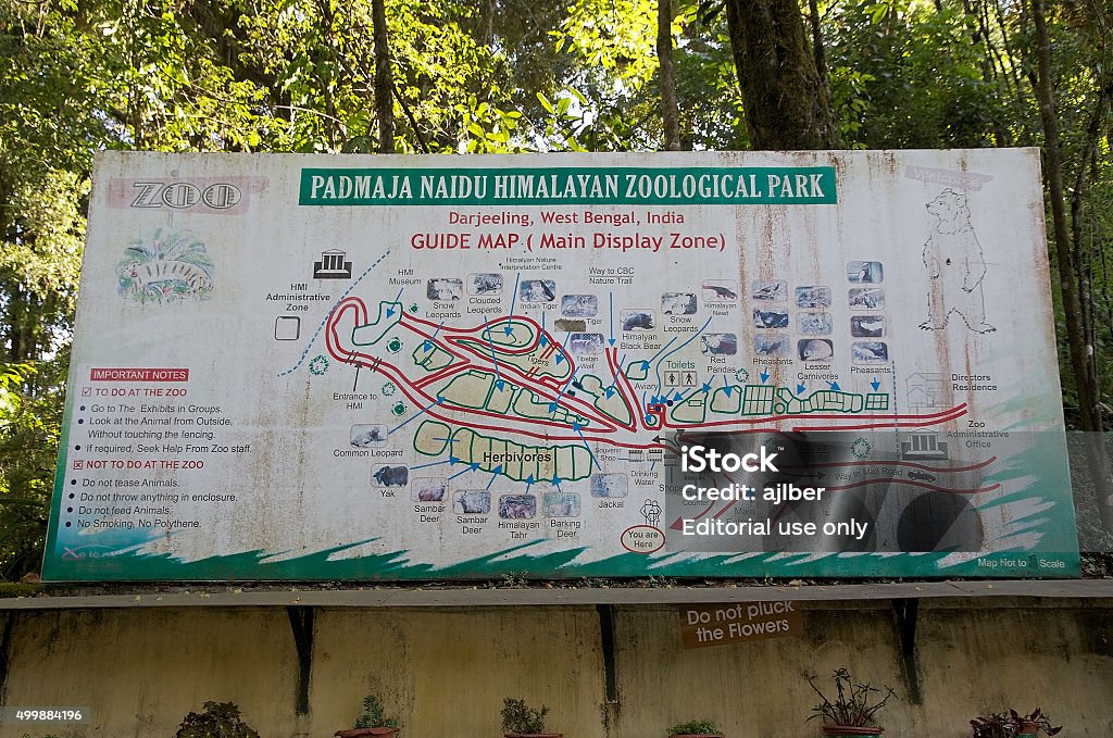 Zoological Park Darjeeling India Stock Photo - Download Image Now - Animal,  Animals In Captivity, Arranging - iStock