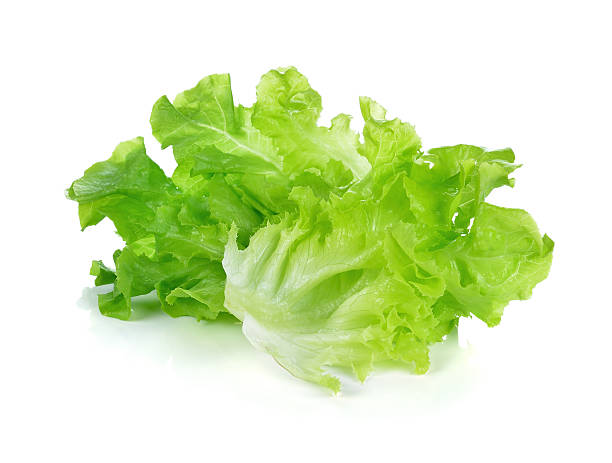 istock fresh green lettuce leaves isolated on white 499886384