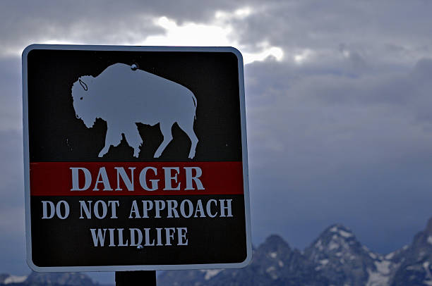 istock Signage in Grand Teton 499888603