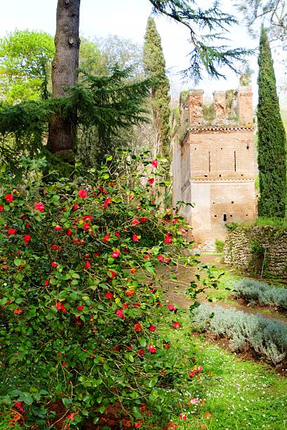 istock gardens of ninfa 499892365