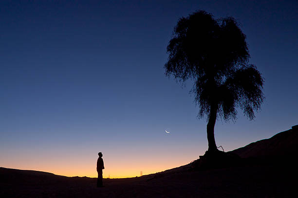 istock Silhouette of a man standing in front of the tree 499893989