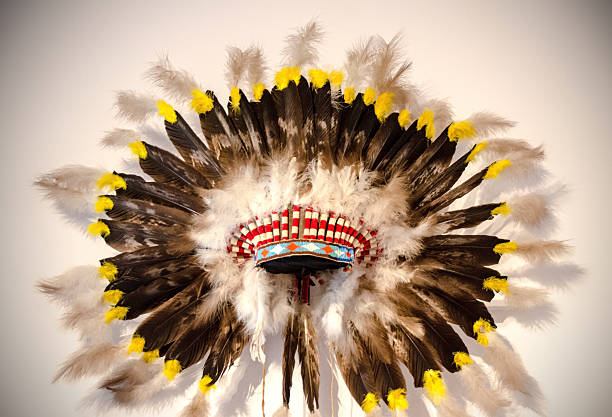 indian coiffe amérindienne - feather headdress photos et images de collection