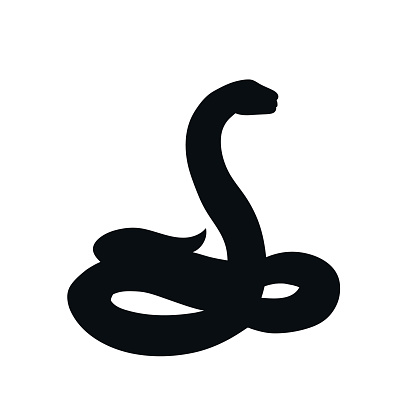 Vector illustration. Black snake on white background.