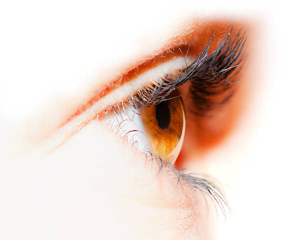 istock Female eye close-up 499900138