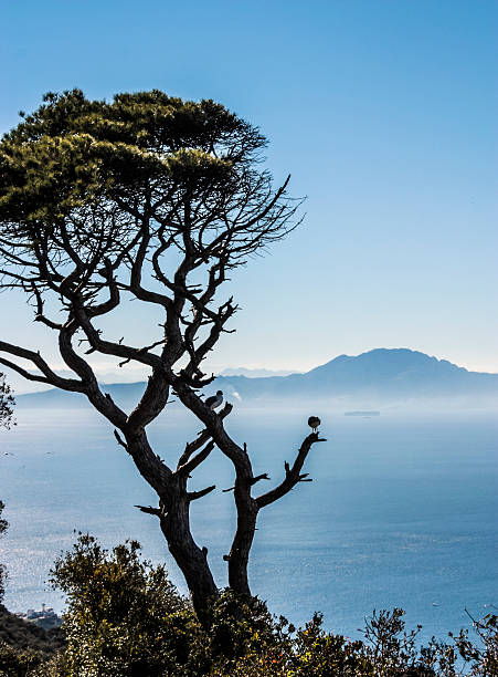 istock Straits of Gibraltar 499900432