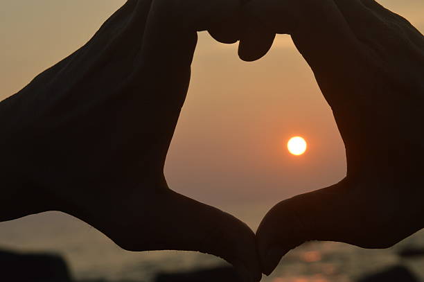istock Catching The Sun - Stock Image 499900922