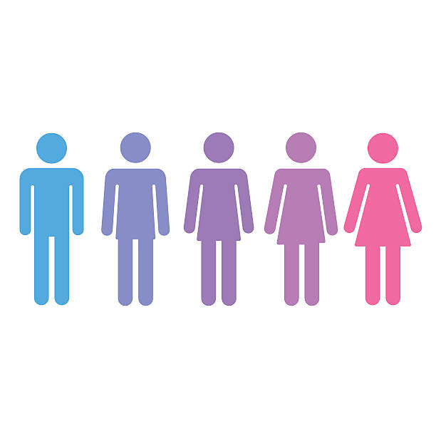 Gender transition concept Transition process of transgender person from male to female. Gender fluid transsexual concept. Isolated vector illustration. change silhouettes stock illustrations