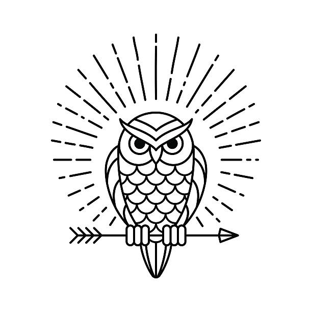 Owl line icon Owl outline emblem in geometric hipster style with arrow and beams. Vector line icon. owl illustrations stock illustrations