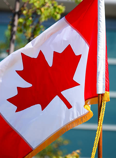istock Decorated Canadian flag 499903402
