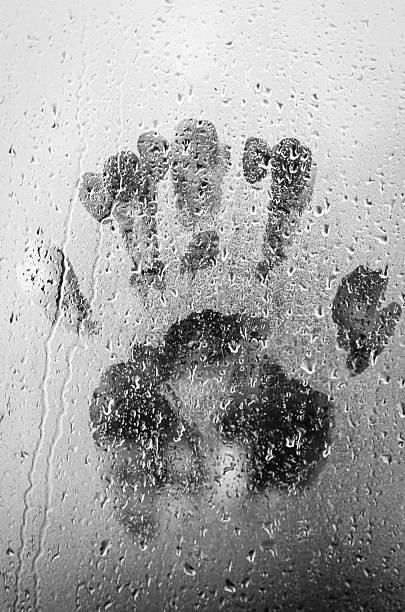 istock Water drops on glass window 499904336