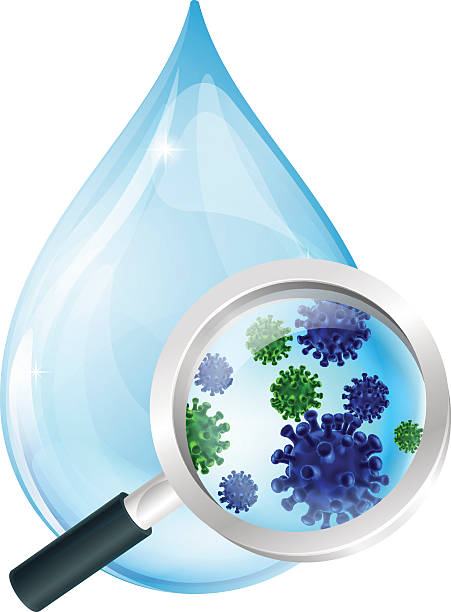 illustrazioni stock, clip art, cartoni animati e icone di tendenza di acqua goccia concetto di batteri - mrsa infectious disease bacterium science
