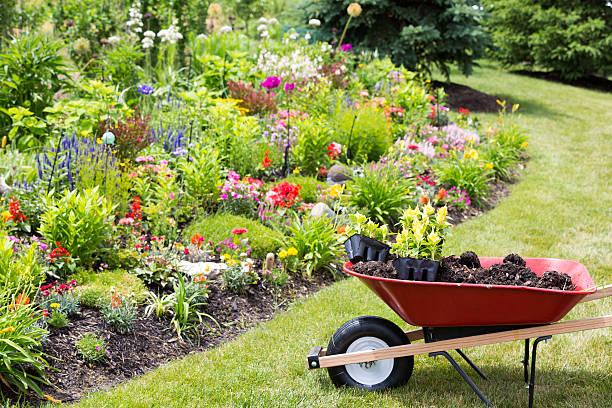 wheelbarrow with flowers
