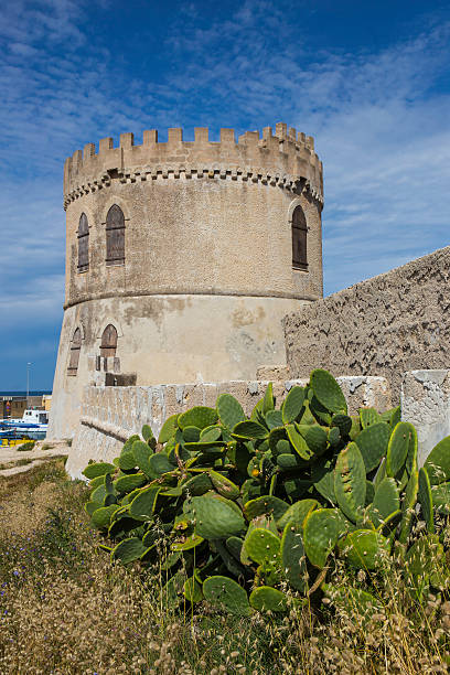 Torre Vado and trees of prickly pears Trees of prickly pears are very common in south Italy. Here there are two classical elements of Puglia's landscape: tree of prickly pears and ancient dry stone wall. Here we are in Torre Vado, Salento, Lecce. fico d'india stock pictures, royalty-free photos & images