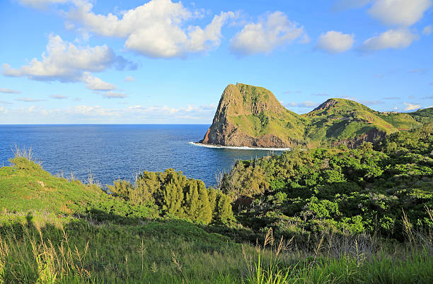 istock Landscape with Kahakuloa Head 499912069