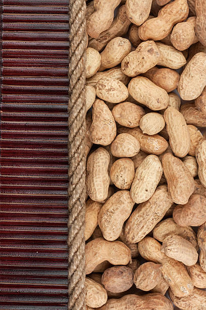 cacahouète allongé sur la natte de bambou foncé, pour menu - peanut legume textured effect fat photos et images de collection