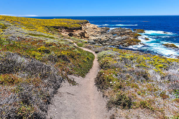 istock Hiking path in Garrapata State Park by Pacific 499912807