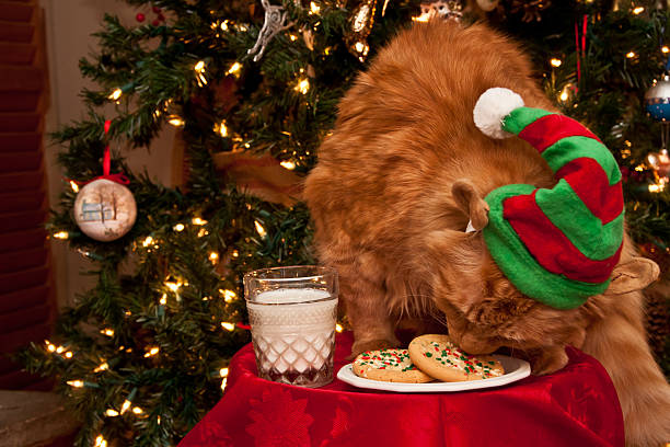 istock Cat stealing cookies from Santa. 499912929