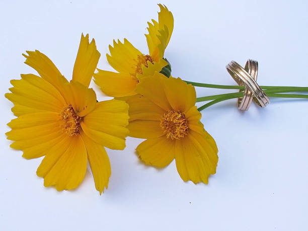 istock Yellow bouquet and wedding rings 499913127