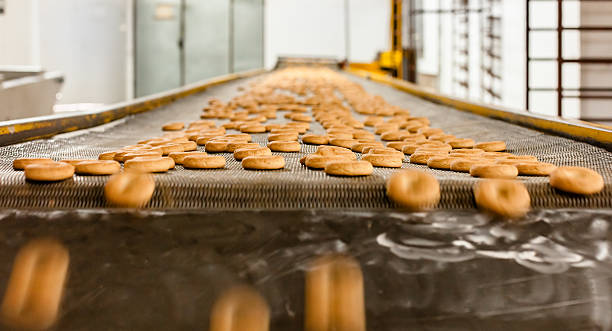istock cookies manufacture 499913527