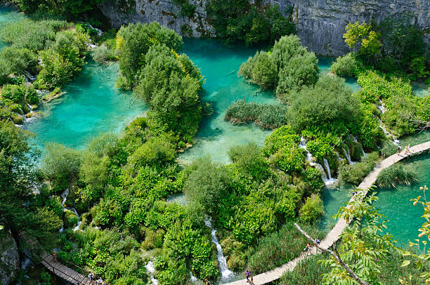 istock Plitvice Lakes National Park, Croatia 499915239