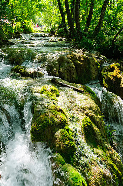 istock Plitvice Lakes National Park, Croatia 499915249