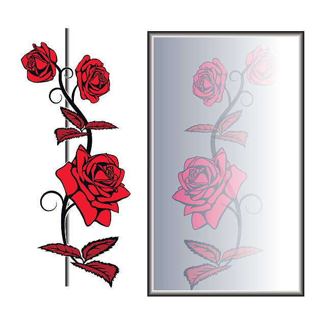 ilustrações, clipart, desenhos animados e ícones de desenho de rose - mirror ornate silhouette vector