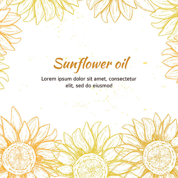ilustraciones, imágenes clip art, dibujos animados e iconos de stock de ilustración vectorial dibujados a mano-sunflowers de fondo. vintage - sunflower flower flower bed light