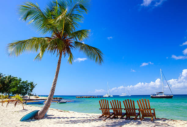 istock Caribbean beach in Dominican Republic 499925814