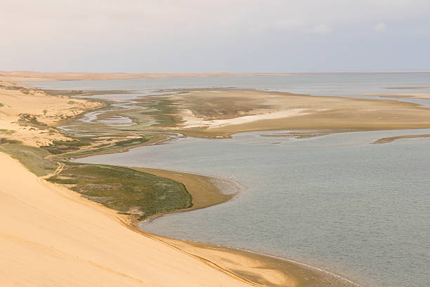 istock Trip from Walvis Bay to Sandwich Harbour, Namibia 499925948