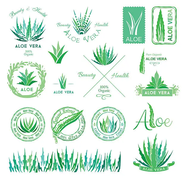 Vector illustration of Aloe vera design elements. Stencil style.