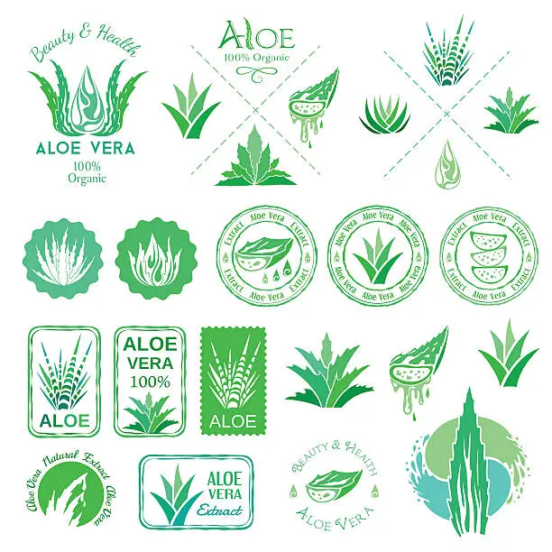 Vector illustration of Aloe vera design elements. Stencil style.