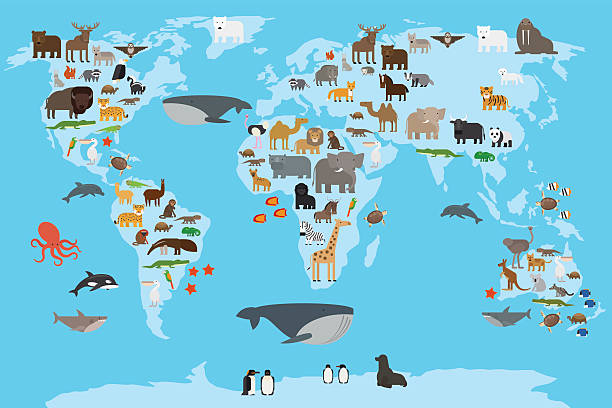 Animals world map Animals world map. Animals living in different parts of the planet guide. Vector illustration. equator line stock illustrations