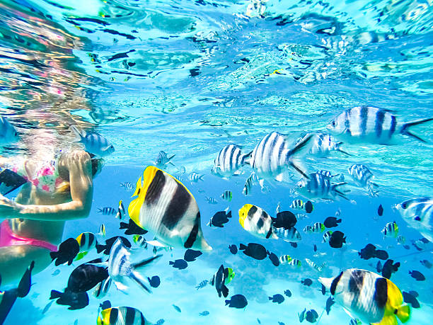 istock Tahiti French Polynesia 499932810