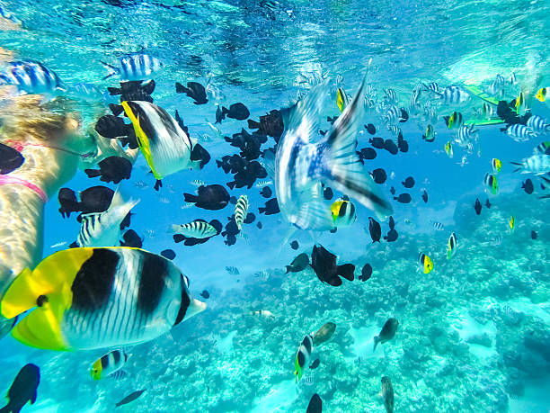 istock Tahiti French Polynesia 499932842