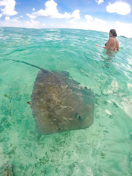 istock Tahiti French Polynesia 499932874