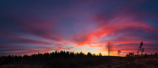 istock Beautiful vibrant sunset clouds view landscape 499934502